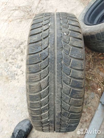 Gislaved Nord Frost 5 185/65 R15