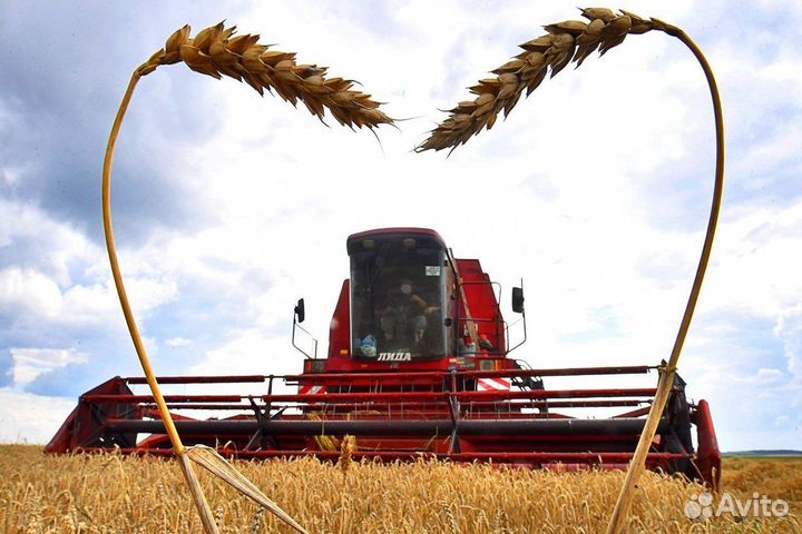 Вахта с проживанием Водитель-механизатор Тверь