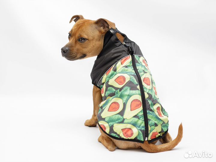Жилет для собак