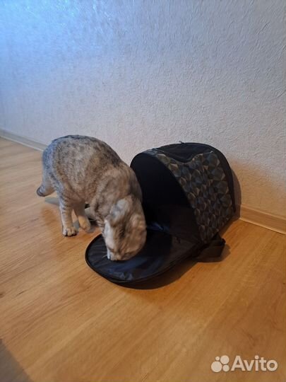 Рюкзак переноска для животных