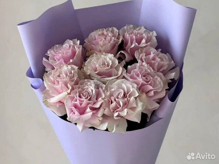 Роза Французкая Огромный Бутон Доставка 24