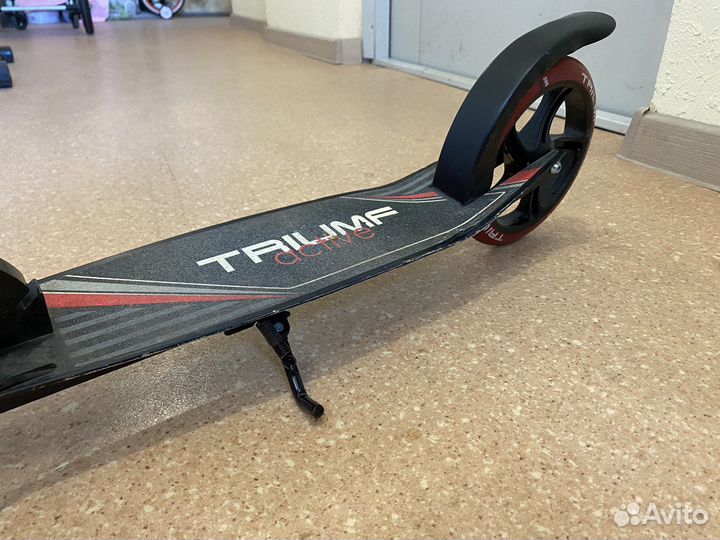 Двухколесный самокат Triumf Active AL02-205