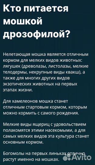 Нелетающая мошка (Дрозофила)