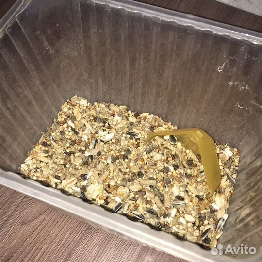 Корм для грызунов