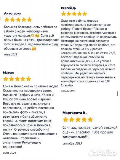 Передержка собак и кошек. Выгул собак