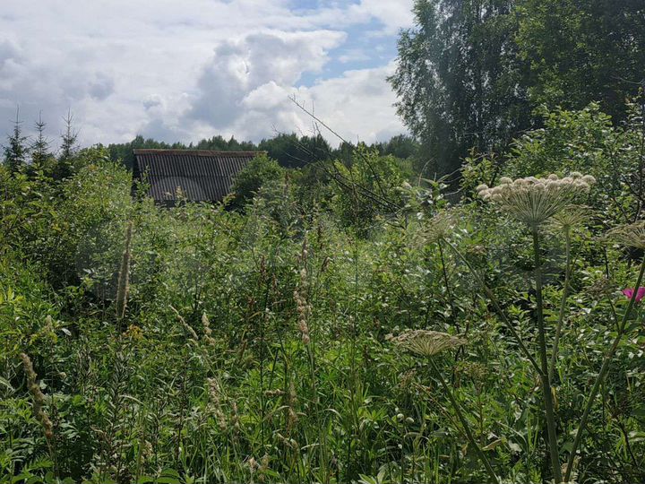 Участок 10 сот. (СНТ, ДНП)