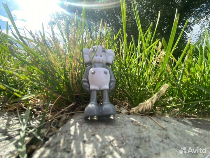 Джибитсы crocs(kaws)