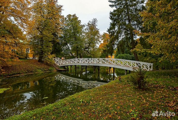 Книга Болдинское братство