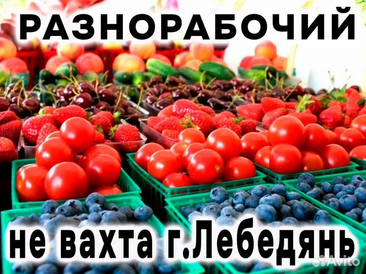 Разнорабочий Не вахта