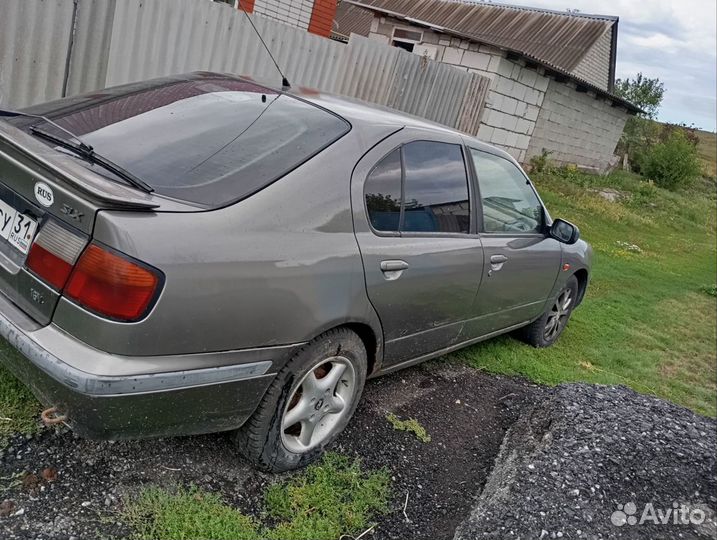 Nissan primera в разборе