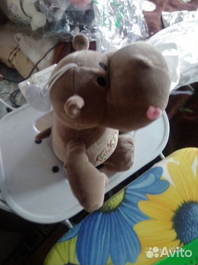 Подарок бегемотик)