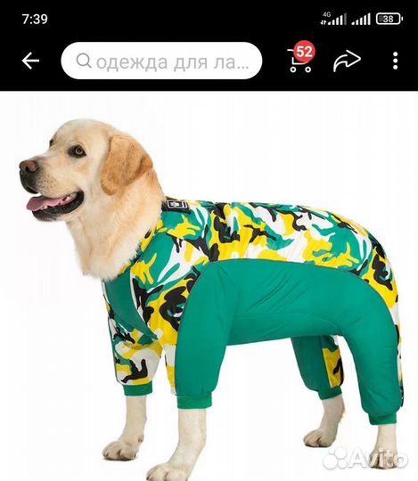 Комбинезон утепленный для собаки