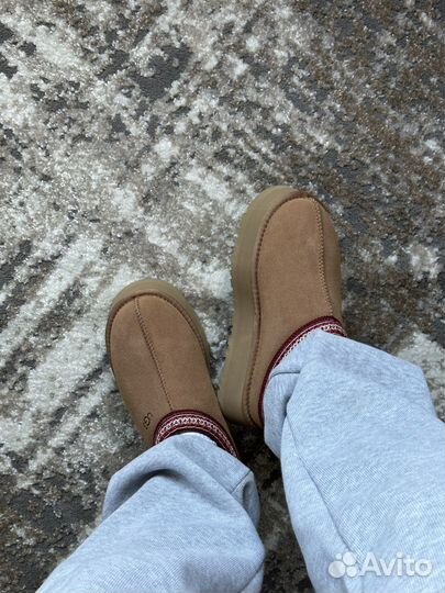 Ugg tazz tasman chestnut