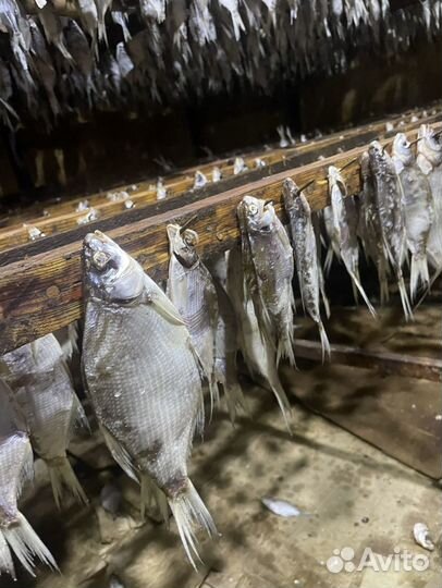 Вяленая рыба с цеха