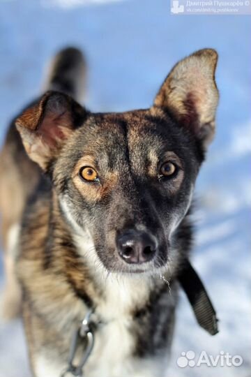 Лазер в добрые руки