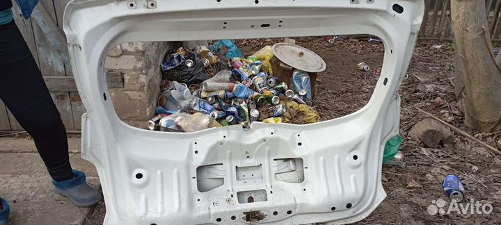 Задняя дверь, от Рено Сандеро