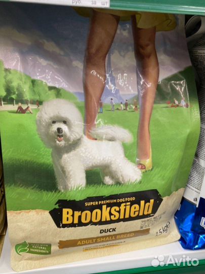 Лайка, приют Лазаревское