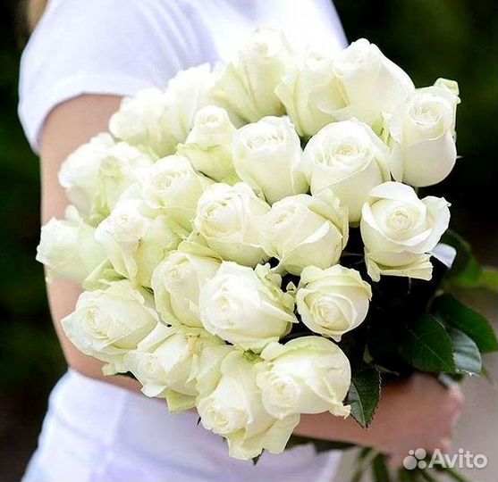 Розы высокие 150 160 170 180 190 200см