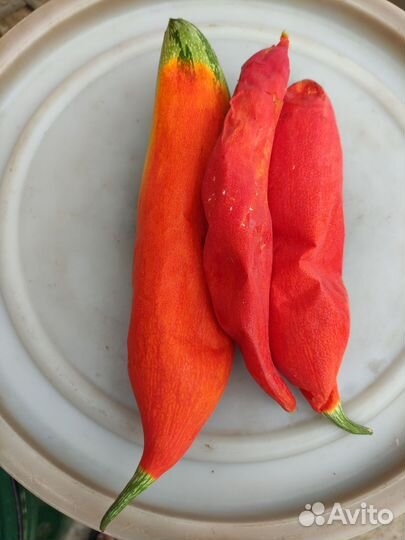 Семена трихозант