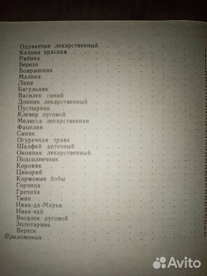 Золотой улей