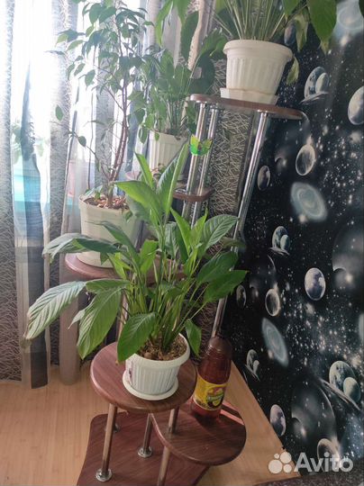 Подставка для цветов