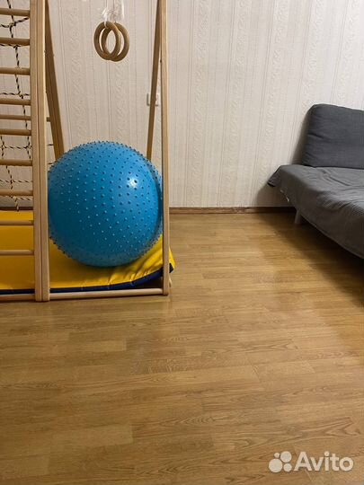 Мяч массажный 65 см с насосом