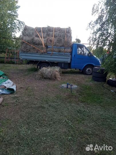 Продам сено в рулонах