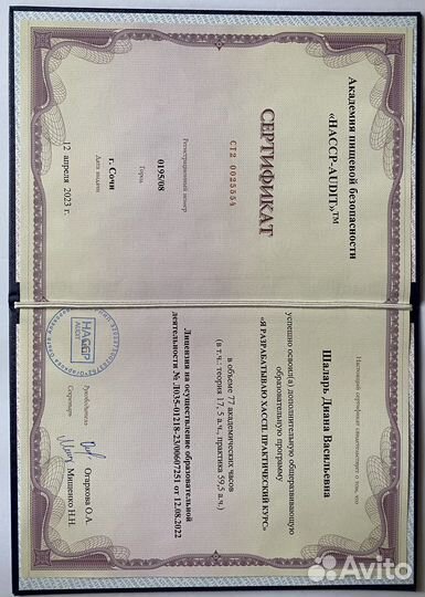 Разработка и внедрение системы хассп