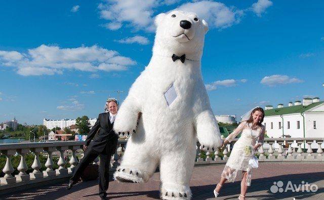 Поздравление белого медведя зайки котика и мишки