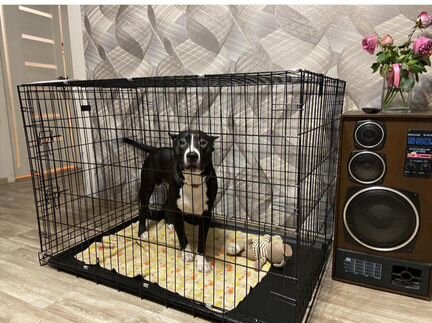 Клетка для больших пород собак в наличии длина 120