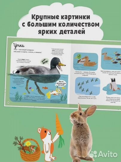 Книги для детей от издательства 