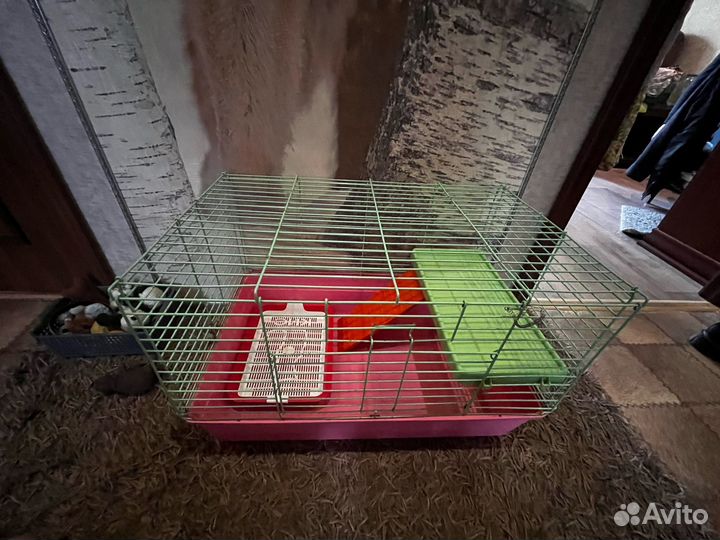 Клетка для грызунов большая