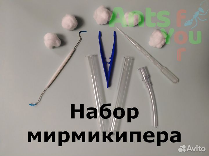 Набор для муравьёв, корм и аксессуары