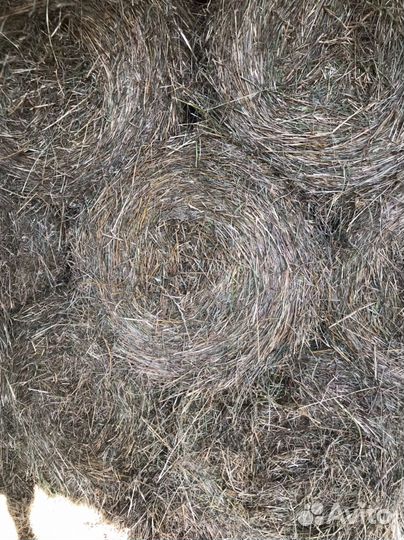 Сено в мини рулонах, дикорос для подстилки