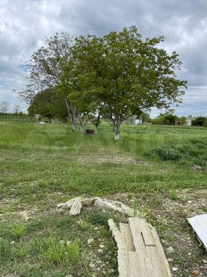 Участок 85 сот. (СНТ, ДНП)