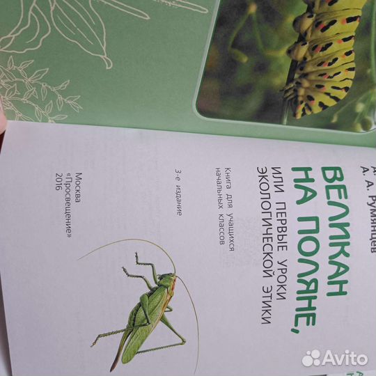 Книга для начальной школы Великан на поляне