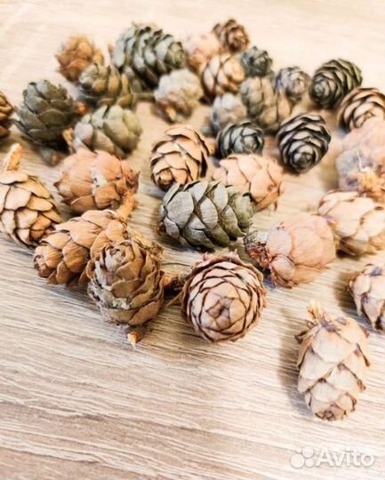 Шишки лиственницы