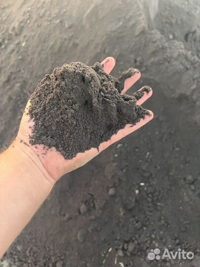 Земля чернозем