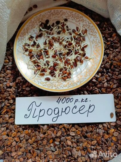 Семена арбуза Каристан, Продюсер