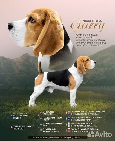 Вязка собак