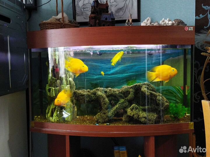 Украшение для аквариума