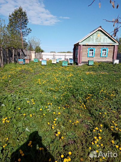 Мед цветочный