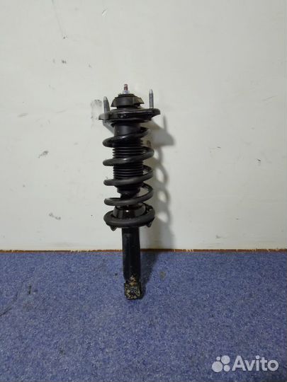 Амортизатор задний левый Haval H6 2014-2020