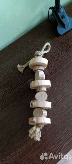 Кольцо для большого попугая