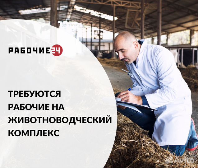 Разнорабочие на вахту