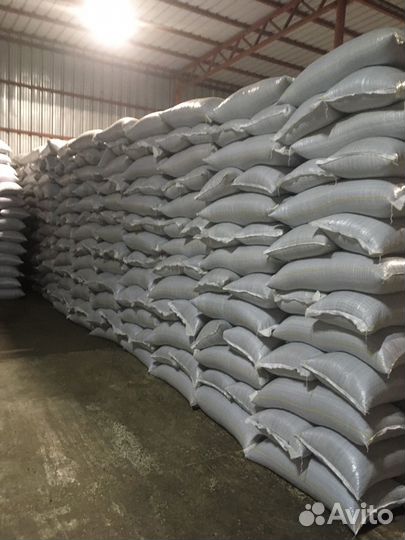 Подсолнечник калиброванный сорт спк