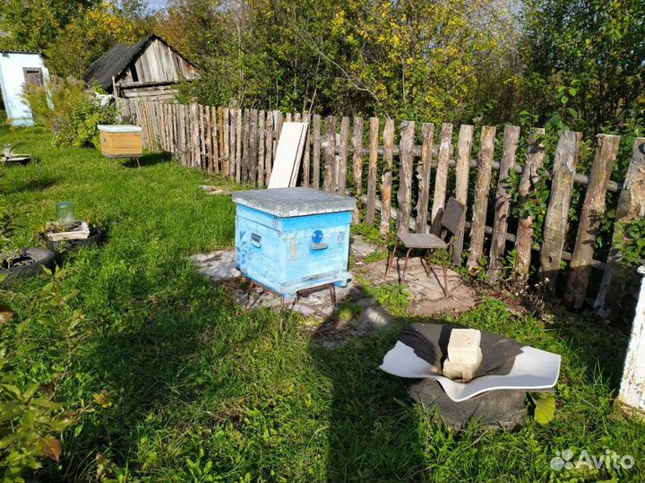 Ульи с рамками