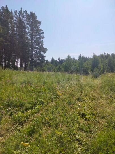 Участок 1,27 га (СНТ, ДНП)