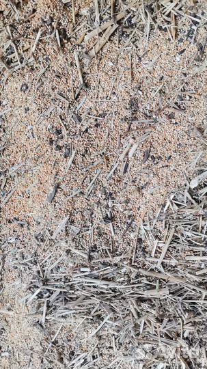 Зерновые отходы