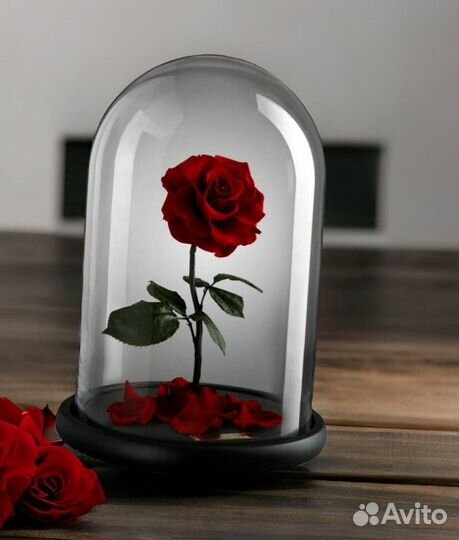 Стабилизированная Роза в колбе на Рождение ребенка